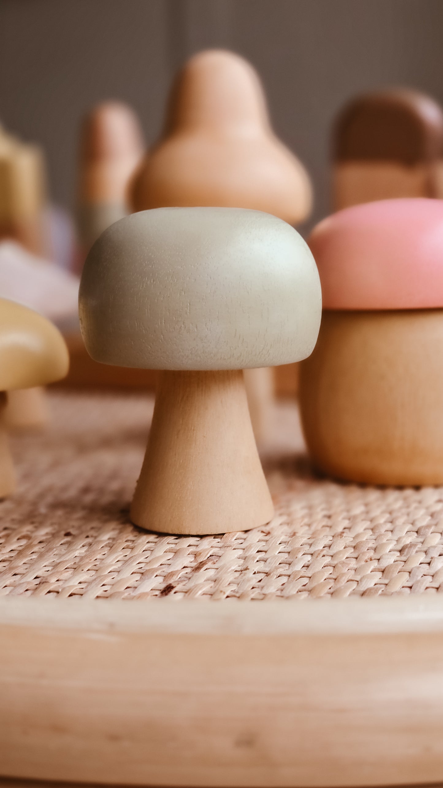 Wooden Mushroom Set | Handcrafted Wood | Pastel Collection